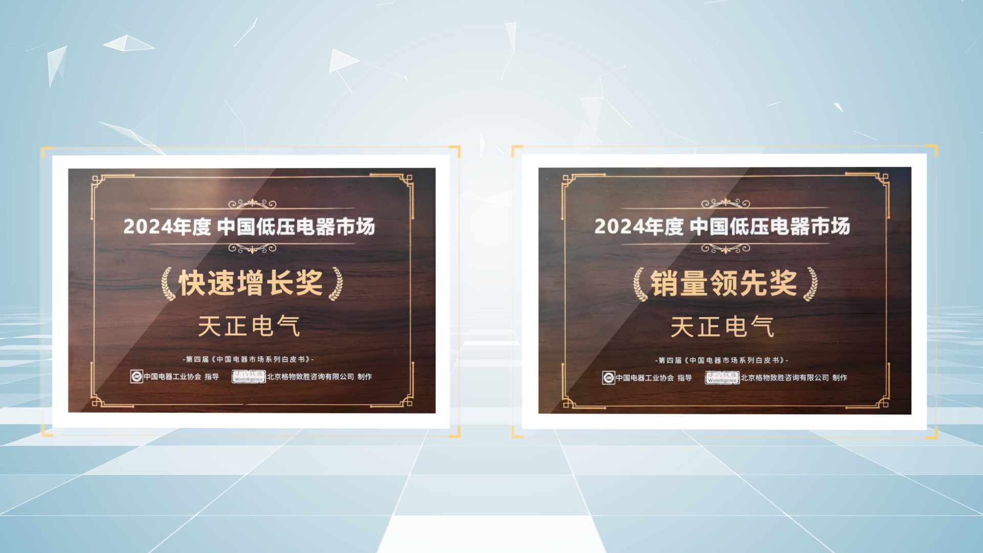 销量领先、快速增长丨凯发k8一触即发荣膺2项行业年度大奖